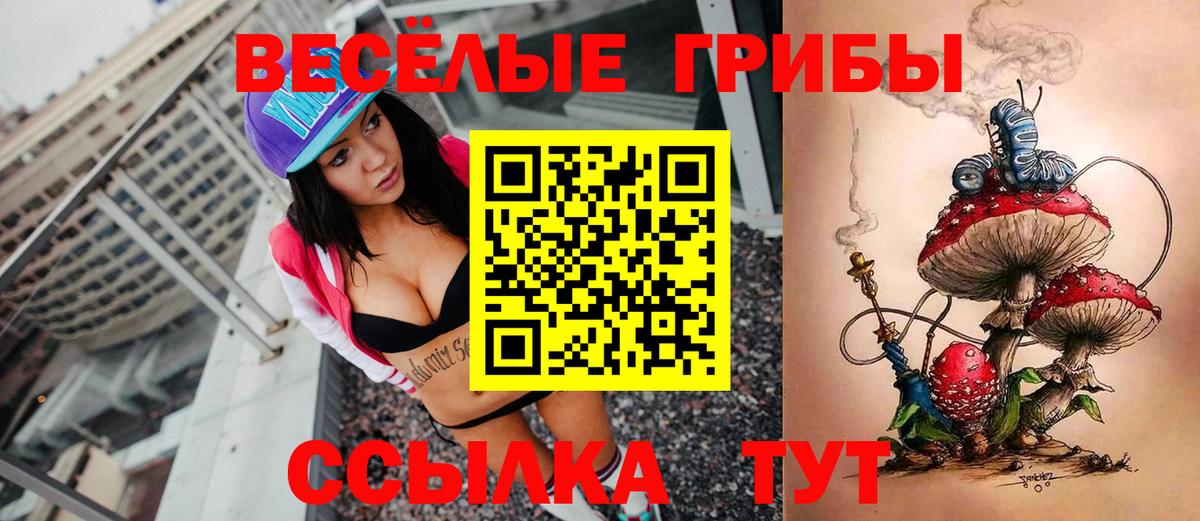 Псилоцибиновые грибы Cubensis Анжеро-Судженск